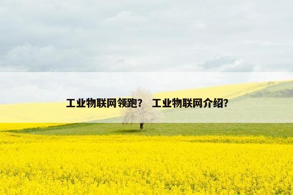 工业物联网领跑？ 工业物联网介绍？