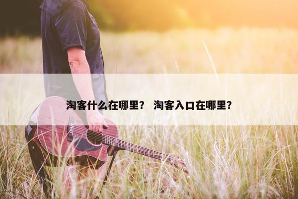 淘客什么在哪里？ 淘客入口在哪里？