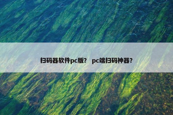 扫码器软件pc版？ pc端扫码神器？