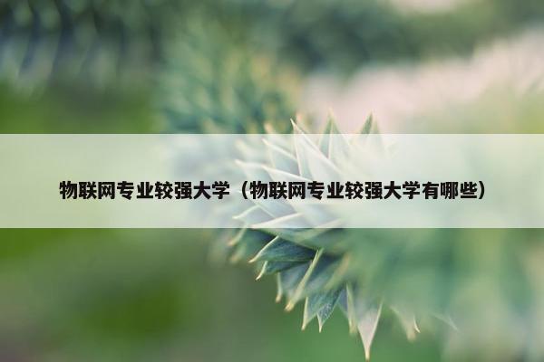 物联网专业较强大学（物联网专业较强大学有哪些）
