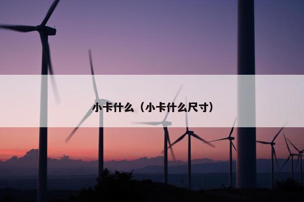 小卡什么（小卡什么尺寸）