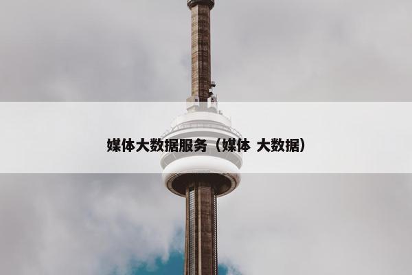 媒体大数据服务（媒体 大数据）