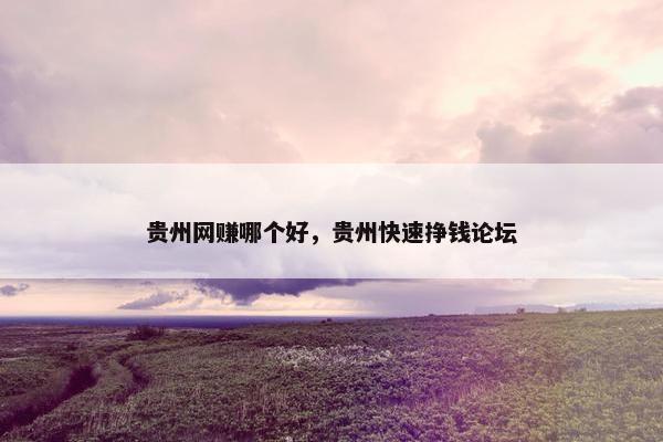 贵州网赚哪个好，贵州快速挣钱论坛