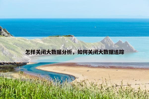 怎样关闭大数据分析，如何关闭大数据追踪