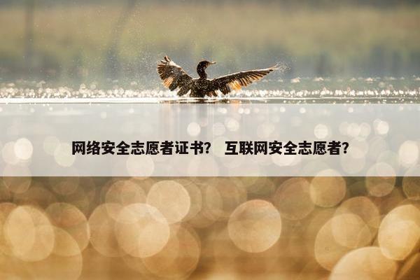网络安全志愿者证书？ 互联网安全志愿者？