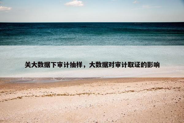 关大数据下审计抽样，大数据对审计取证的影响