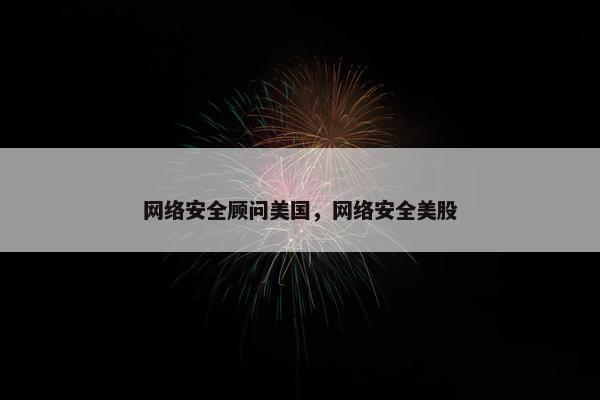 网络安全顾问美国，网络安全美股