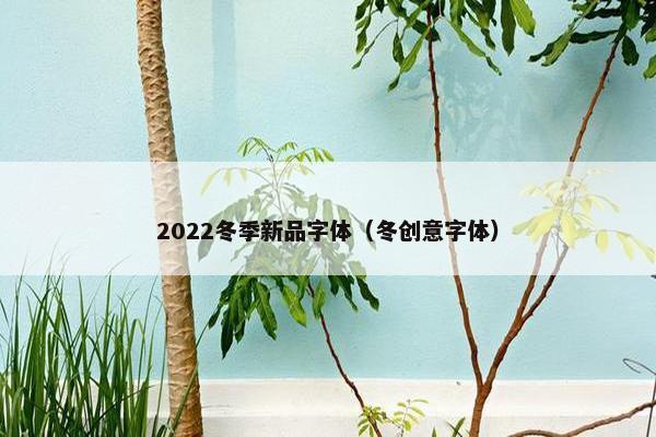 2022冬季新品字体（冬创意字体）