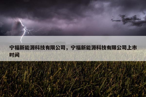 宁福新能源科技有限公司，宁福新能源科技有限公司上市时间
