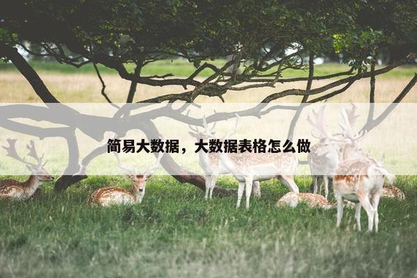 简易大数据，大数据表格怎么做