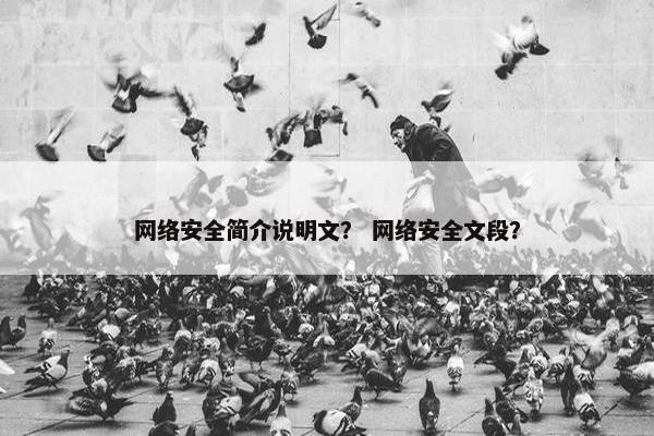 网络安全简介说明文？ 网络安全文段？