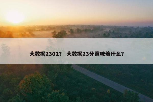 大数据2302？ 大数据23分意味着什么？