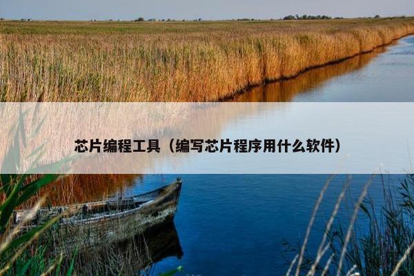 芯片编程工具（编写芯片程序用什么软件）