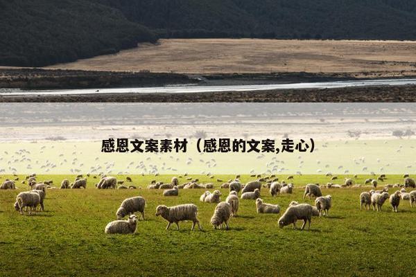 感恩文案素材（感恩的文案,走心）