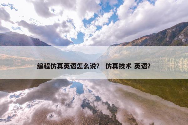 编程仿真英语怎么说？ 仿真技术 英语？