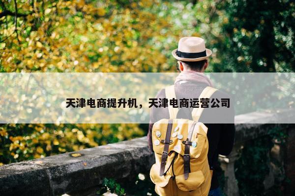 天津电商提升机，天津电商运营公司