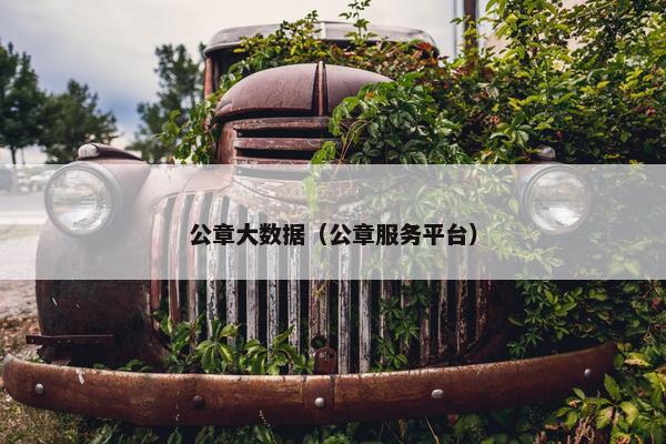 公章大数据（公章服务平台）