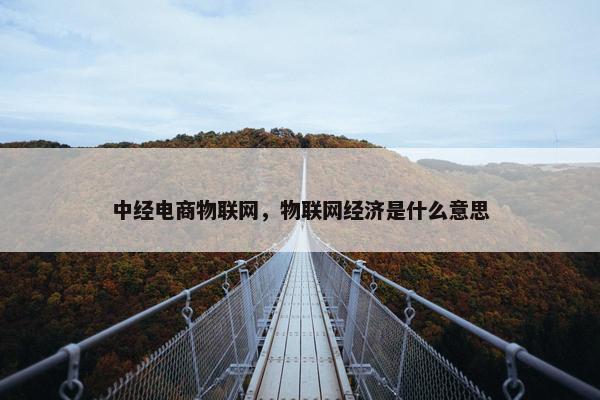 中经电商物联网，物联网经济是什么意思