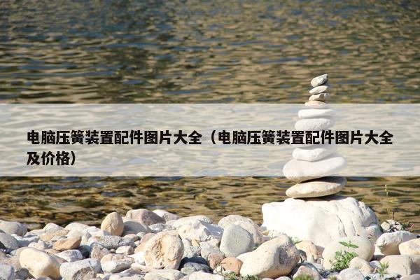 电脑压簧装置配件图片大全（电脑压簧装置配件图片大全及价格）