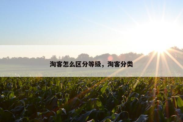 淘客怎么区分等级，淘客分类