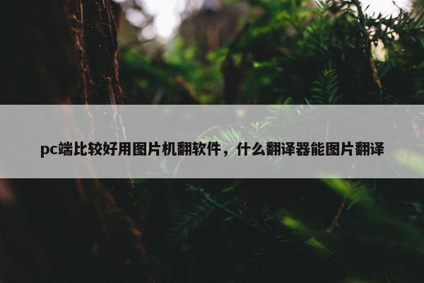 pc端比较好用图片机翻软件，什么翻译器能图片翻译