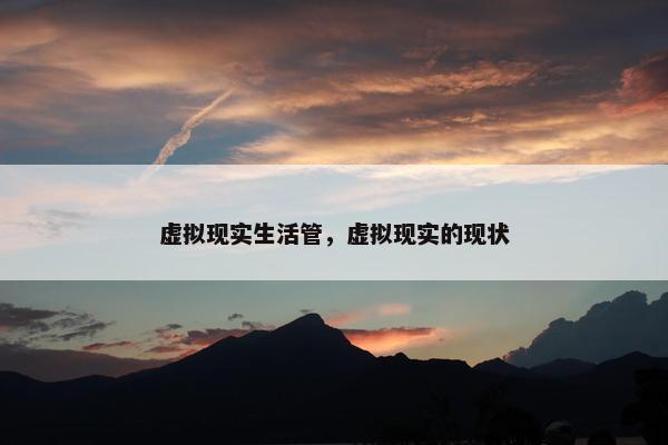 虚拟现实生活管，虚拟现实的现状