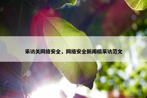 采访关网络安全，网络安全新闻稿采访范文
