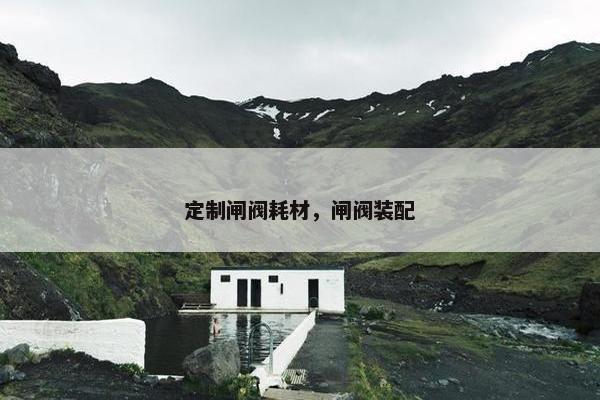 定制闸阀耗材，闸阀装配