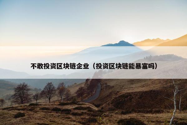 不敢投资区块链企业（投资区块链能暴富吗）