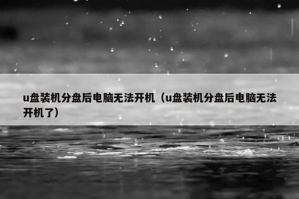u盘装机分盘后电脑无法开机（u盘装机分盘后电脑无法开机了）