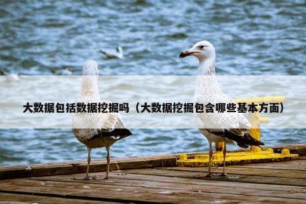 大数据包括数据挖掘吗（大数据挖掘包含哪些基本方面）