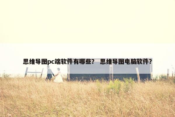 思维导图pc端软件有哪些？ 思维导图电脑软件？