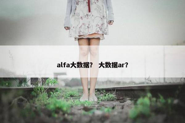 alfa大数据？ 大数据ar？