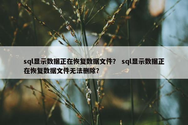sql显示数据正在恢复数据文件？ sql显示数据正在恢复数据文件无法删除？