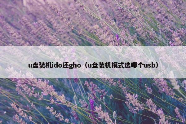u盘装机ido还gho（u盘装机模式选哪个usb）