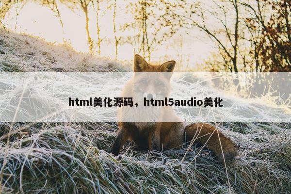 html美化源码，html5audio美化