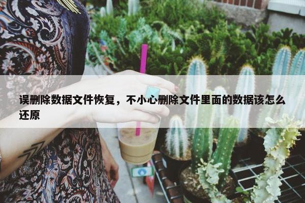 误删除数据文件恢复，不小心删除文件里面的数据该怎么还原