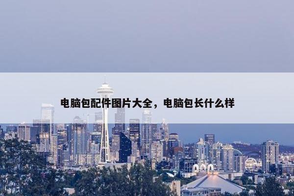 电脑包配件图片大全，电脑包长什么样