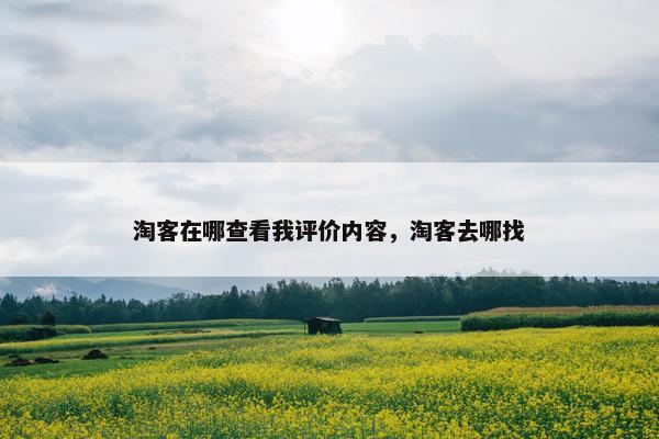 淘客在哪查看我评价内容，淘客去哪找