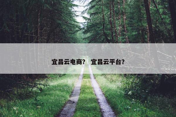 宜昌云电商？ 宜昌云平台？