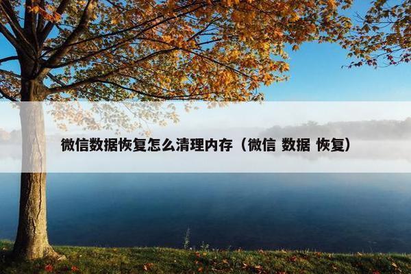 微信数据恢复怎么清理内存（微信 数据 恢复）