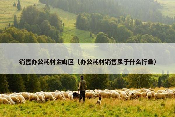 销售办公耗材金山区（办公耗材销售属于什么行业）