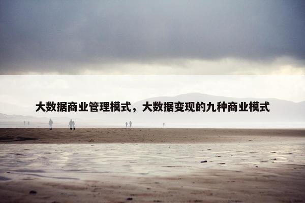 大数据商业管理模式，大数据变现的九种商业模式