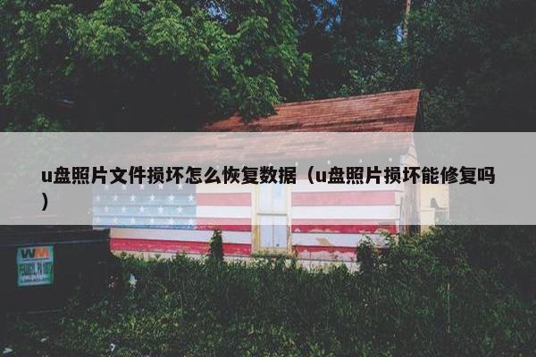 u盘照片文件损坏怎么恢复数据（u盘照片损坏能修复吗）