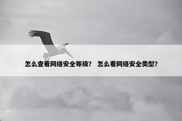 怎么查看网络安全等级？ 怎么看网络安全类型？