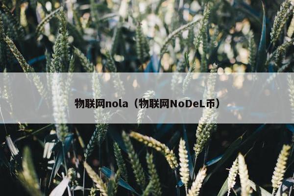 物联网nola（物联网NoDeL币）