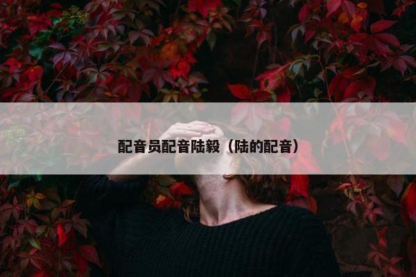 配音员配音陆毅（陆的配音）