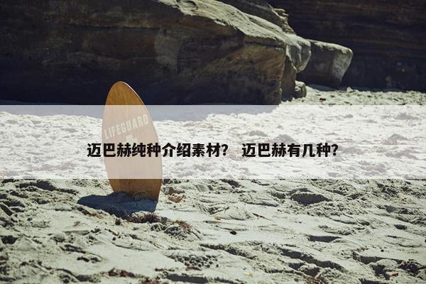 迈巴赫纯种介绍素材？ 迈巴赫有几种？