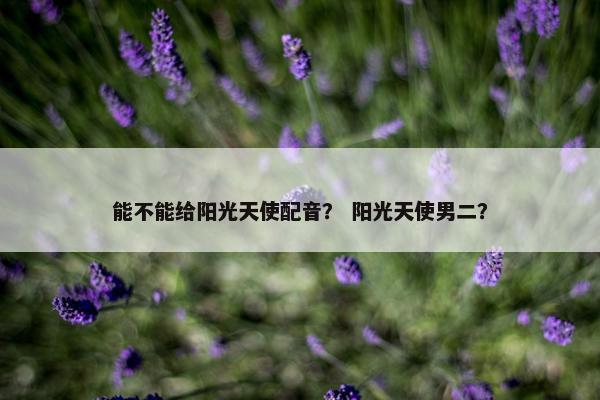 能不能给阳光天使配音？ 阳光天使男二？