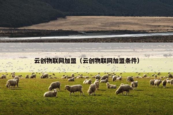 云创物联网加盟（云创物联网加盟条件）